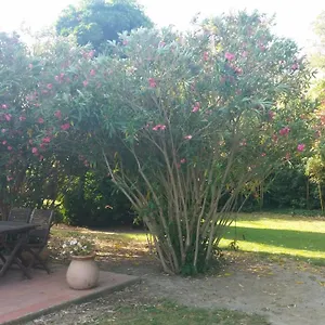 https://le-mas-dicard.fr-provencehotel.com